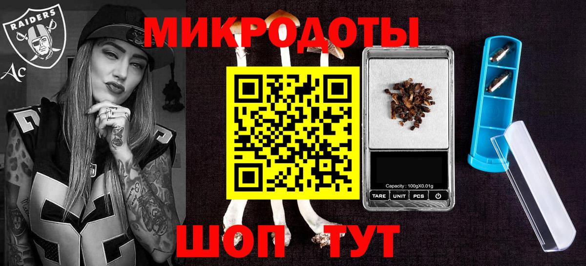 Галлюциногенные грибы Cubensis Кандалакша