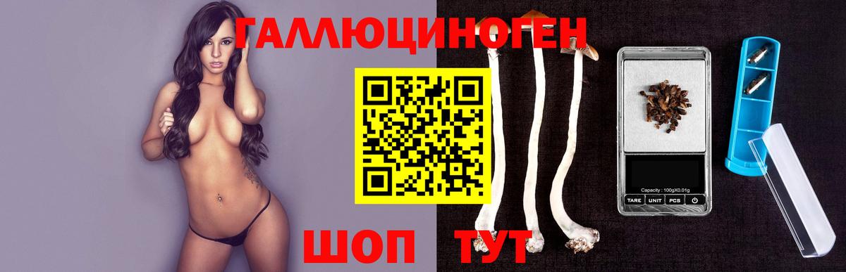 Псилоцибиновые грибы Psilocybe  Псилоцибиновые грибы Psilocybe  Вход с VPN  Кандалакша 